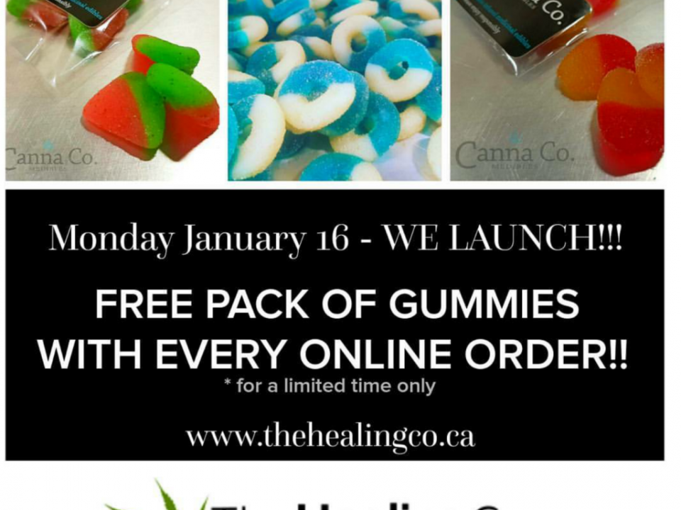 Online Dispensary Canada The Healing Co - Launching Our New Website