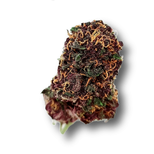 Purple Lamborghini Exotic AAAA - Indica - The Healing Co