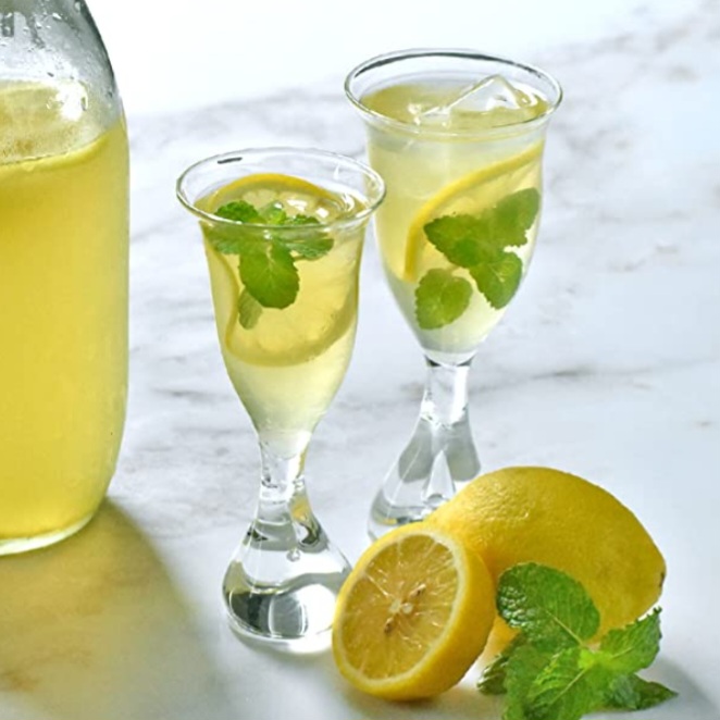 Lemon Sencha Tea - Temple Tea - Mota