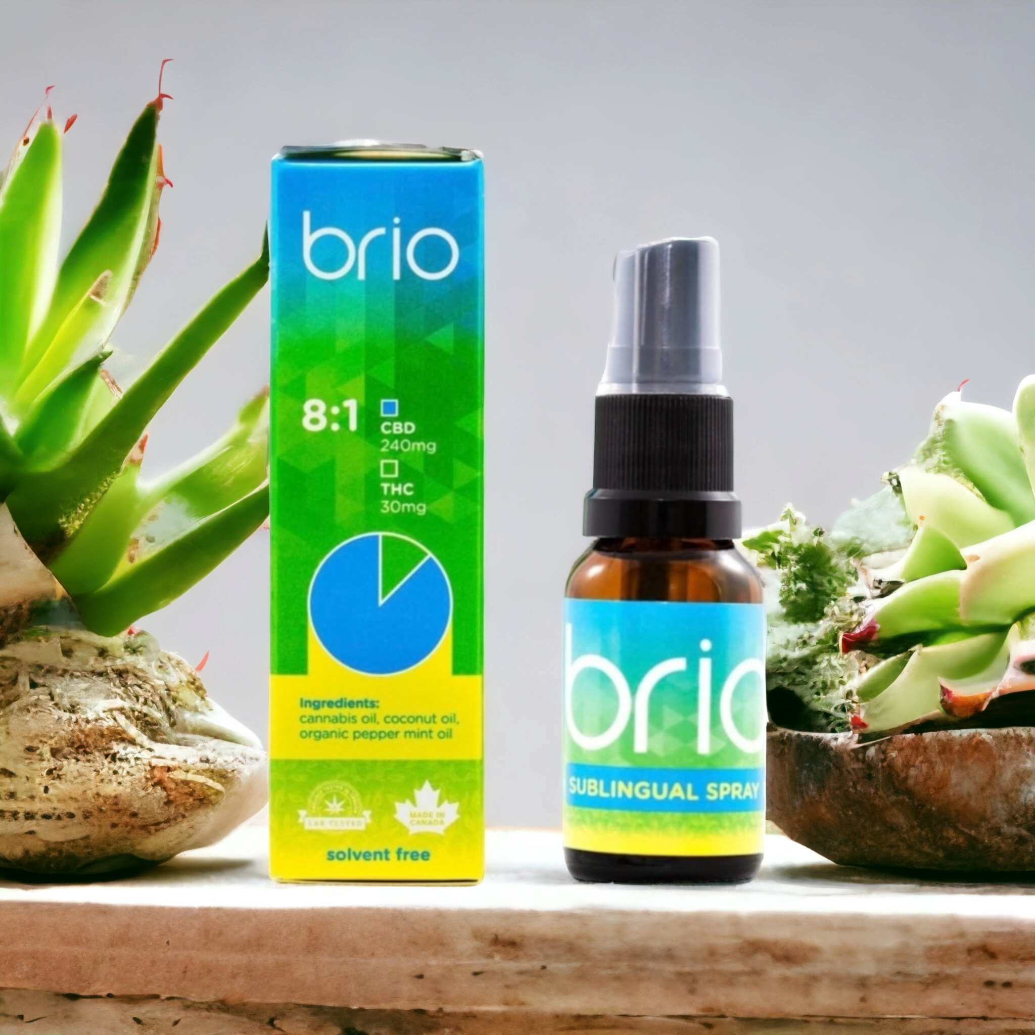 Brio 8 to 1 CBD to THC Sublingual Spray