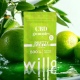 Willo – 500mg CBD Pear Lime Gummies